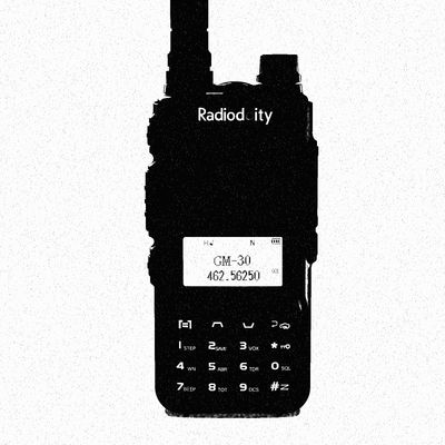 Radioddity GM-30